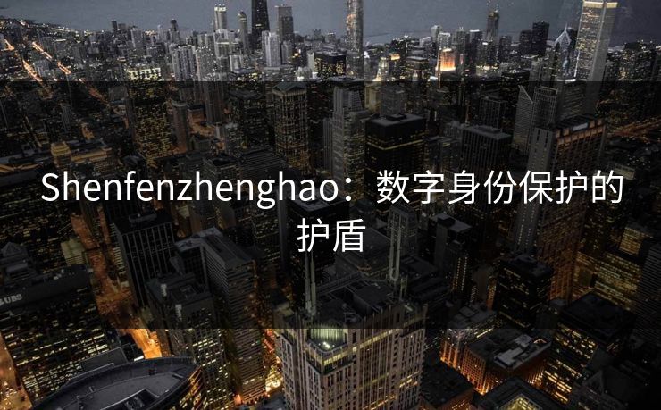 Shenfenzhenghao：数字身份保护的护盾