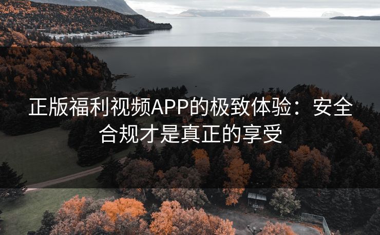 正版福利视频APP的极致体验：安全合规才是真正的享受