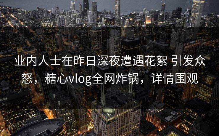 业内人士在昨日深夜遭遇花絮 引发众怒，糖心vlog全网炸锅，详情围观